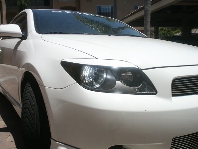 VINYL  TC  Scion  PRE CUT  OVERLAY  HEADLIGHT  GLOSS WHITE  EYELID  EYE BROW