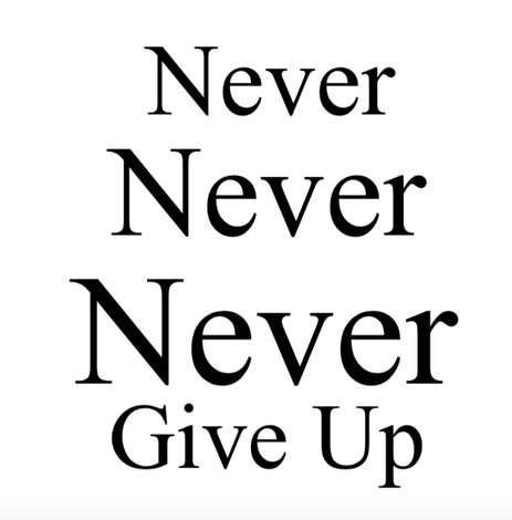 Wall Decal  Never Give Up  Motivational Quote  Home Office  Decor DIY  Black Vinyl