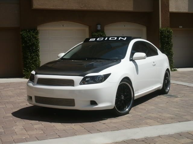 VINYL  TC  Scion  PRE CUT  OVERLAY  HEADLIGHT  GLOSS WHITE  EYELID  EYE BROW